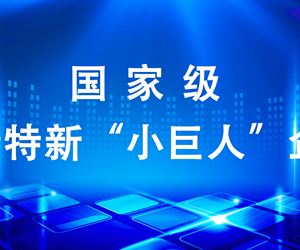 江苏利记·sbobet官网成功入选第四批国家级专精特新“小巨人”企业